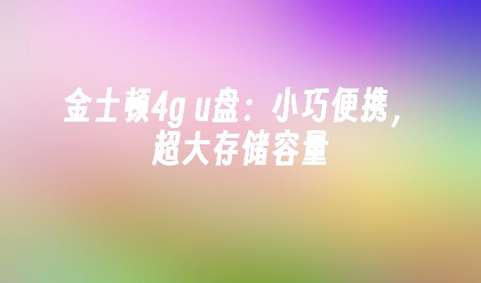 金士顿4g u盘：小巧便携，超大存储容量