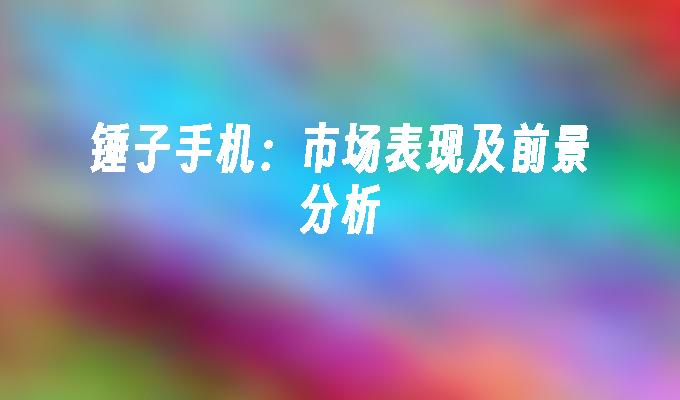 锤子手机：市场表现及前景分析