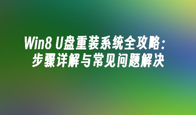 Win8 U盘重装系统全攻略：步骤详解与常见问题解决