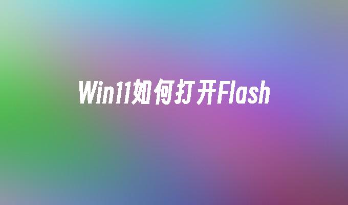Win11如何打开Flash