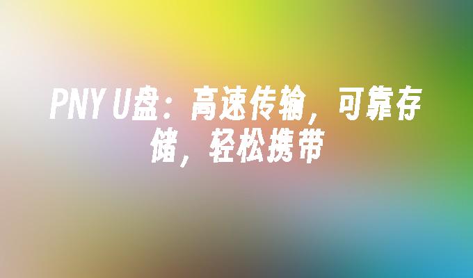 PNY U盘：高速传输，可靠存储，轻松携带