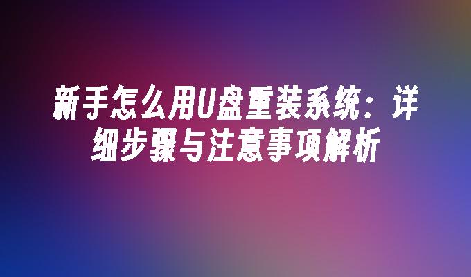 新手怎么用U盘重装系统：详细步骤与注意事项解析