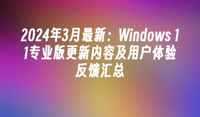 2024年3月最新：Windows 11专业版更新内容及用户体验反馈汇总