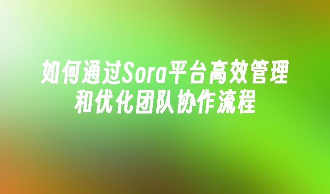 如何通过Sora平台高效管理和优化团队协作流程