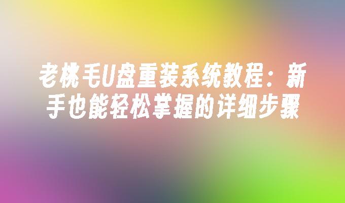 老桃毛U盘重装系统教程：新手也能轻松掌握的详细步骤