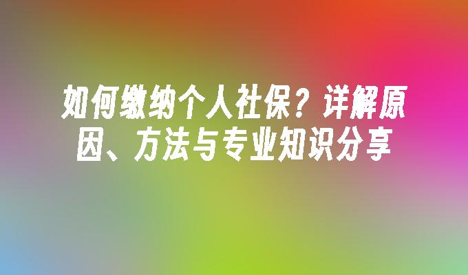 如何缴纳个人社保？详解原因、方法与专业知识分享