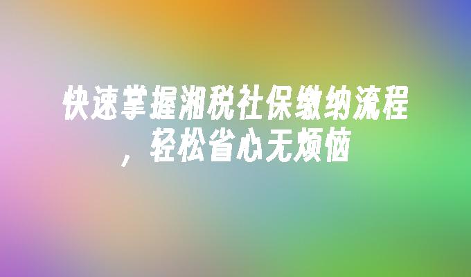 快速掌握湘税社保缴纳流程，轻松省心无烦恼