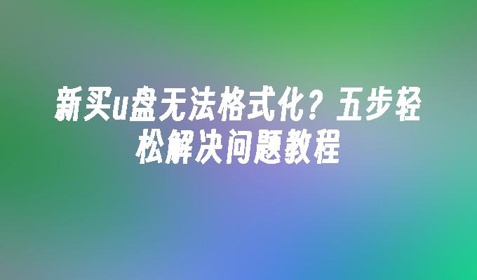 新买u盘无法格式化？五步轻松解决问题教程