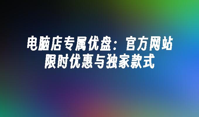 电脑店专属优盘：官方网站限时优惠与独家款式