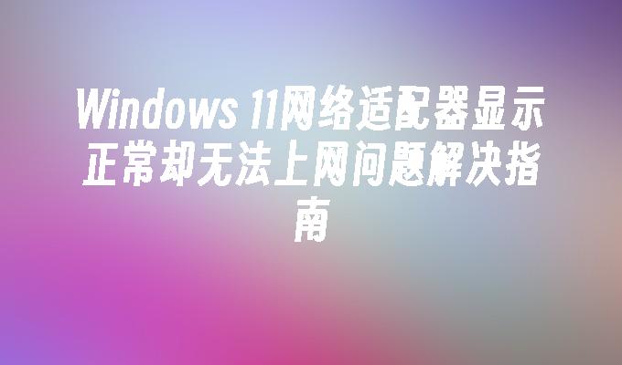 Windows 11网络适配器显示正常却无法上网问题解决指南