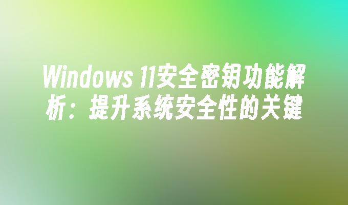 Windows 11安全密钥功能解析：提升系统安全性的关键