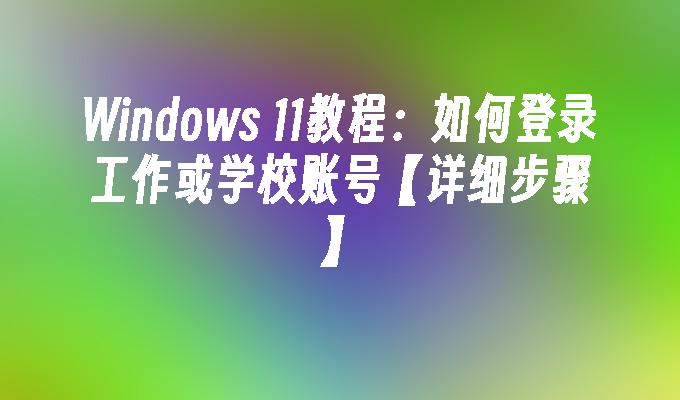 Windows 11教程：如何登录工作或学校账号【详细步骤】