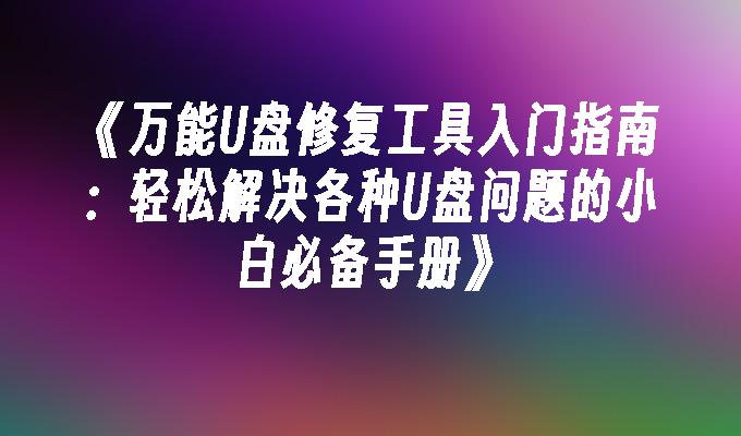 《万能U盘修复工具入门指南：轻松解决各种U盘问题的小白必备手册》