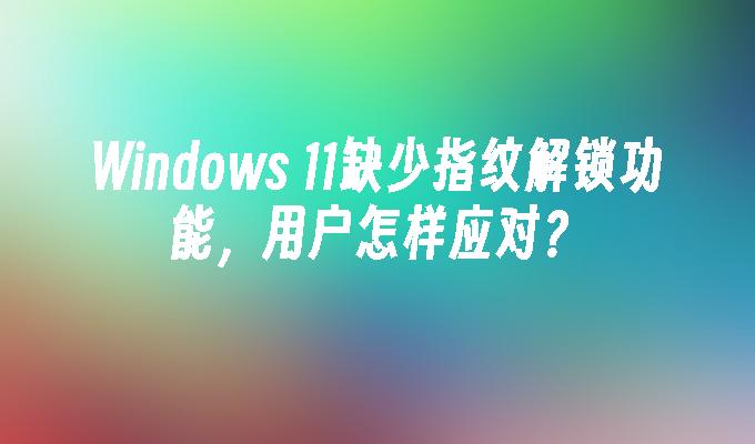 Windows 11缺少指纹解锁功能，用户怎样应对？