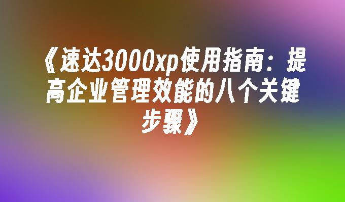 《速达3000xp使用指南：提高企业管理效能的八个关键步骤》