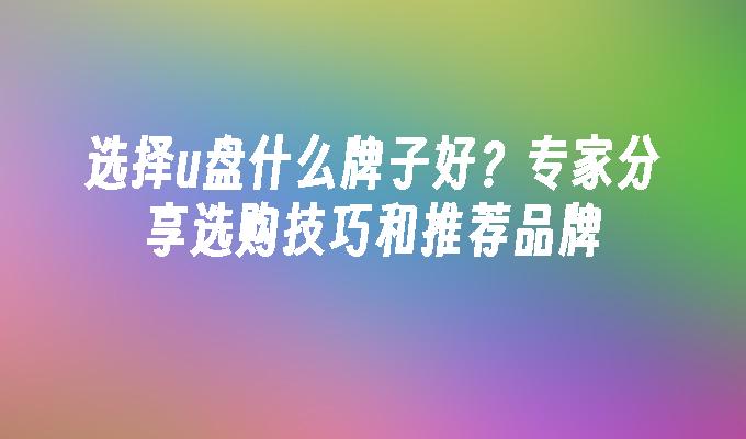 选择u盘什么牌子好？专家分享选购技巧和推荐品牌