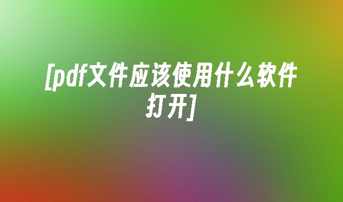 [pdf文件应该使用什么软件打开]